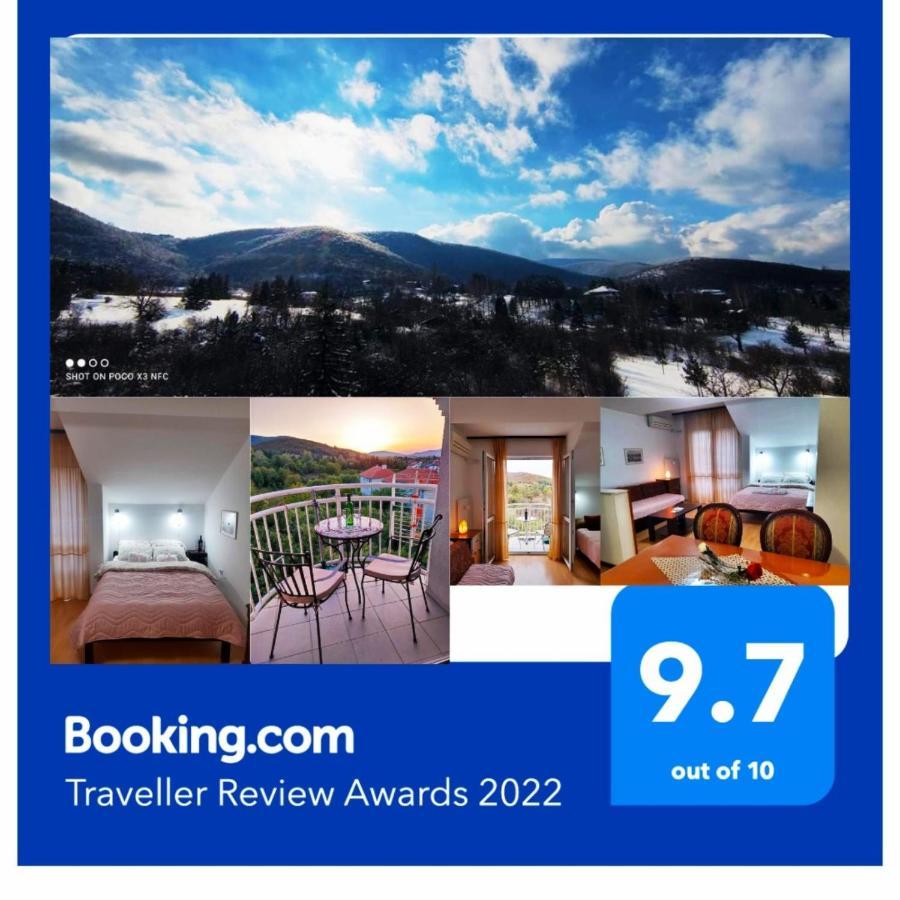 Sky Apartman Сокобаня Экстерьер фото