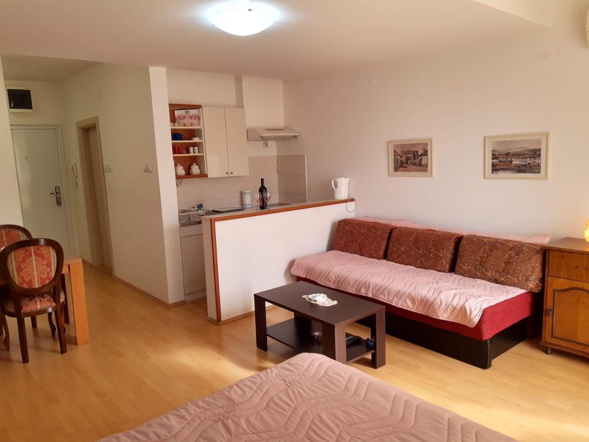 Sky Apartman Сокобаня Экстерьер фото