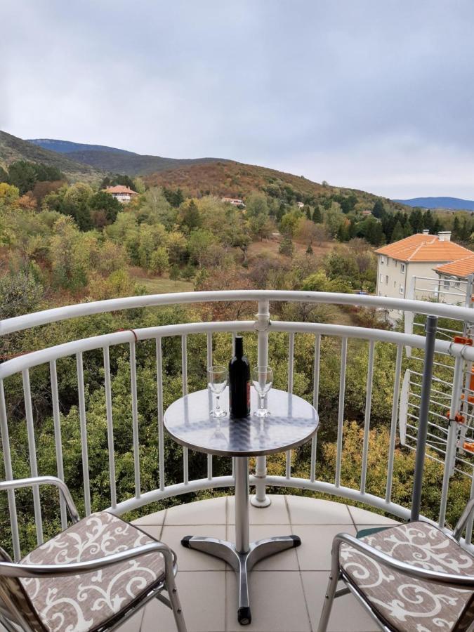 Sky Apartman Сокобаня Экстерьер фото