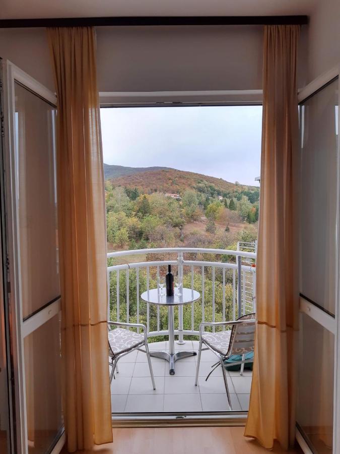 Sky Apartman Сокобаня Экстерьер фото