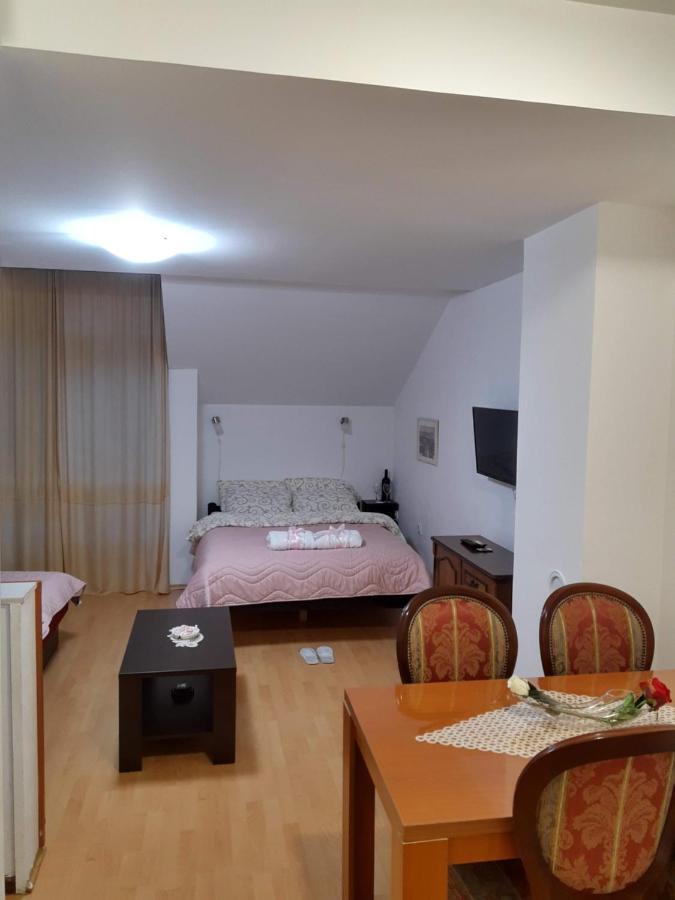 Sky Apartman Сокобаня Экстерьер фото