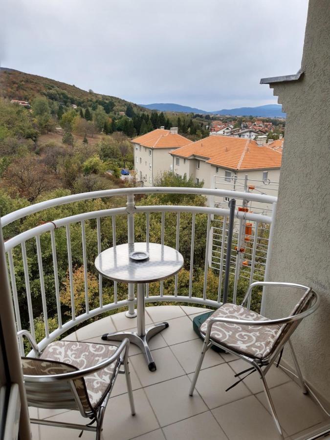 Sky Apartman Сокобаня Экстерьер фото