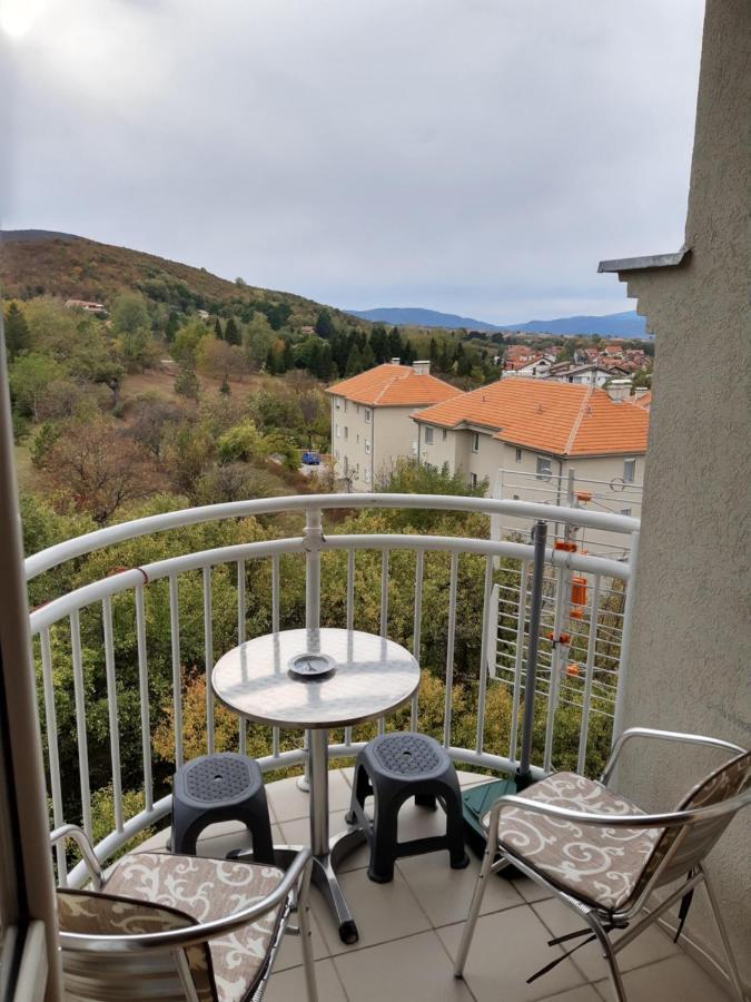 Sky Apartman Сокобаня Экстерьер фото